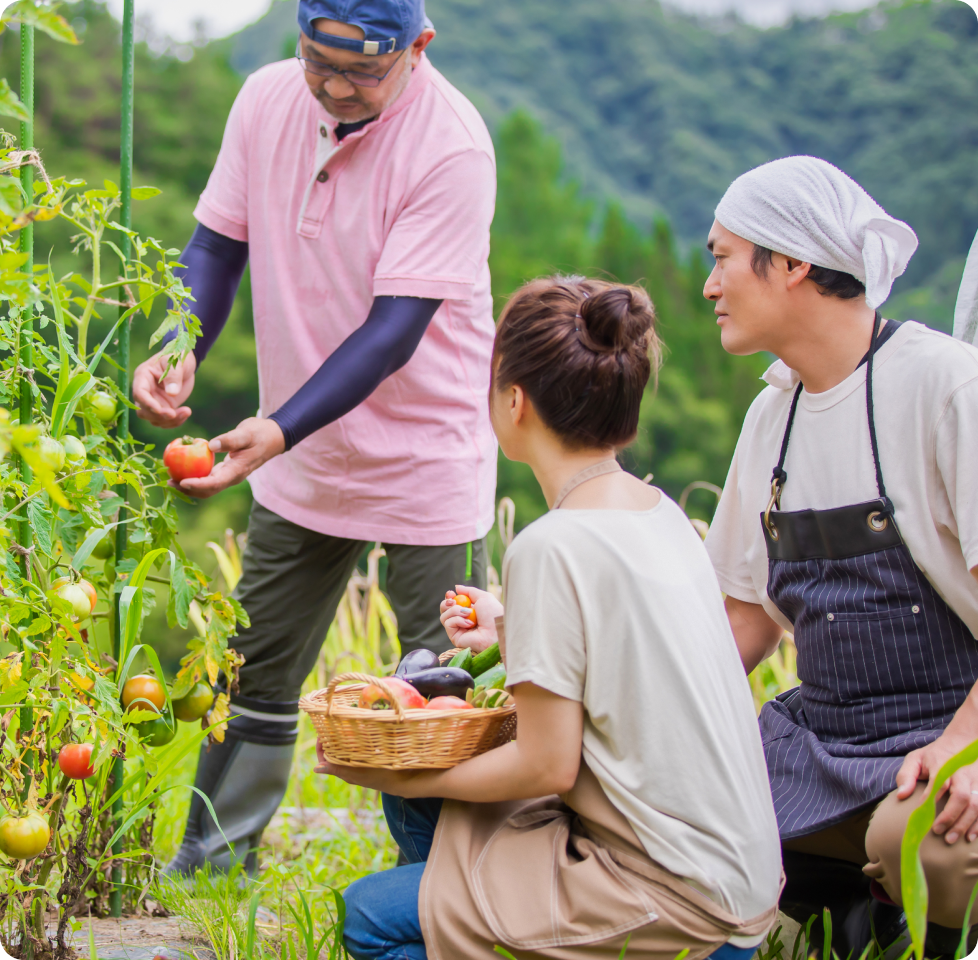 農作業をしているスタッフたち